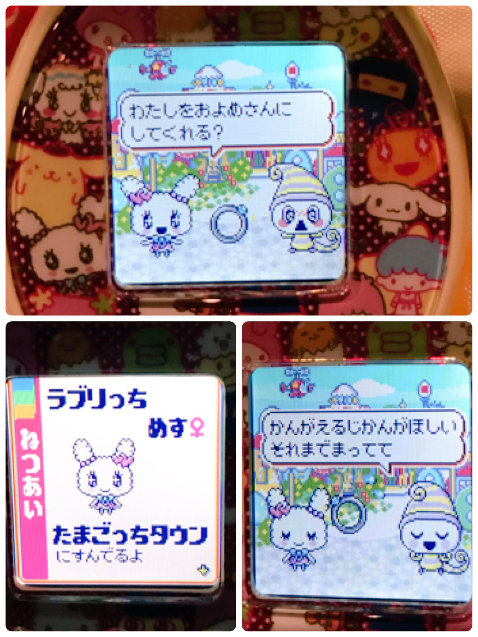 ミホ たまごっちみくす マイメロちゃんに猛アタック中の我が子でしたが なんと別の子に逆プロポーズ こんな可愛い子から プロポーズされておいて振るわけでもなく思わせぶりにする罪な男です D たまごっちみくす たまごっちみくすサンリオ