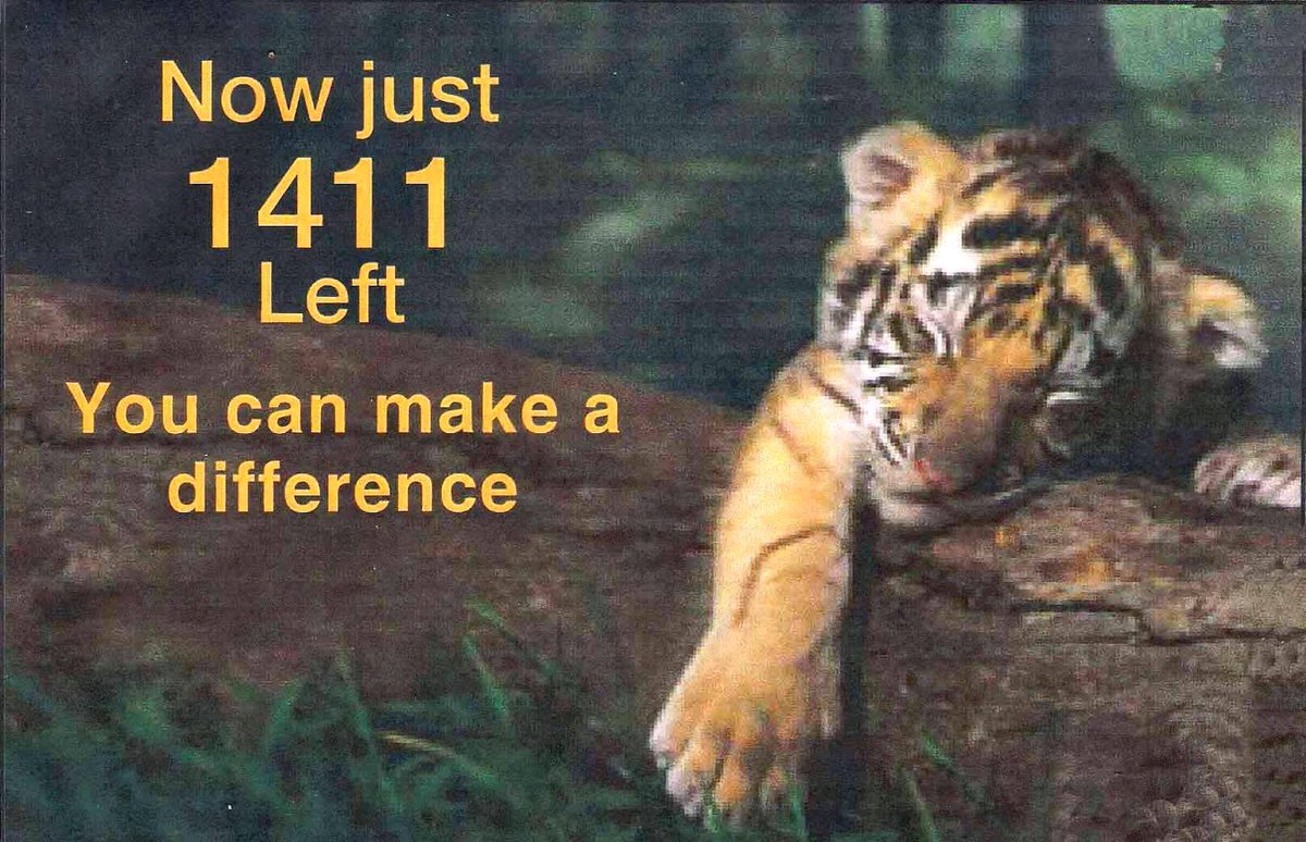 Protect_Wldlife's tweet photo. Something to think about on #WorldTigerDay! https://t.co/ihwzp8AmIq