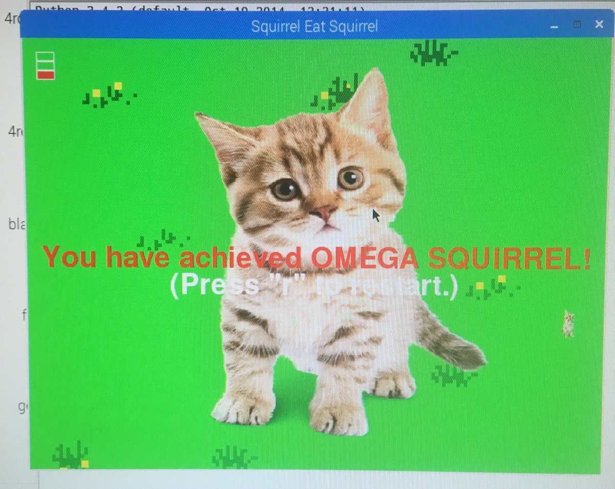 gorbalsdojo's tweet image. Slow day, but we achieved OMEGA CAT SQUIRREL 🐱 #python #coderdojo #coderdojoscotland cats FTW