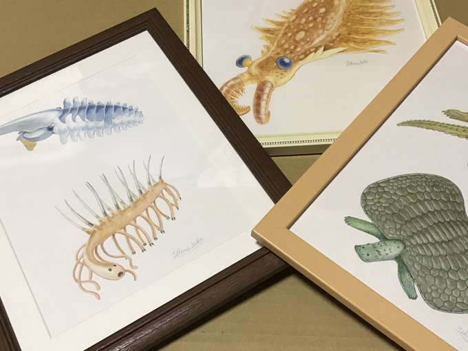 古生物イラストのtwitterイラスト検索結果 古生物イラストのtwitterイラスト検索結果