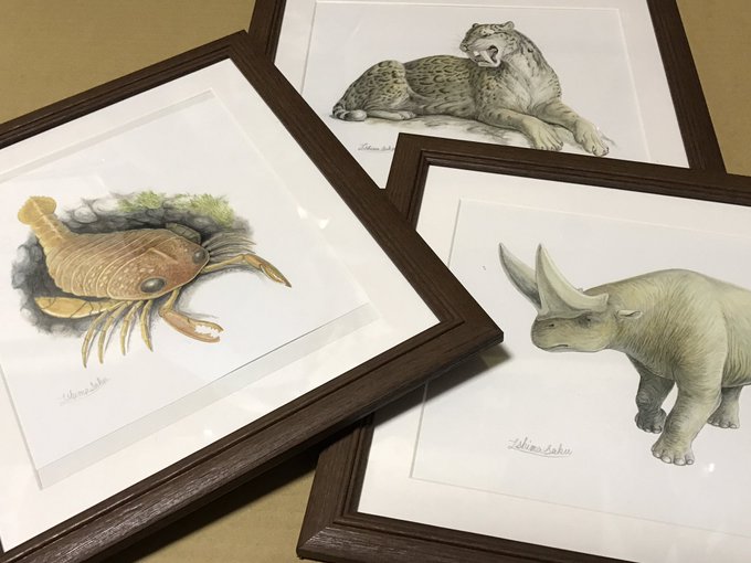 古生物イラストのtwitterイラスト検索結果 古生物イラストのtwitterイラスト検索結果