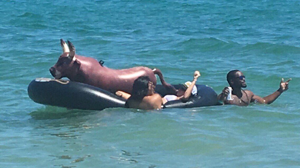 stelatwit's tweet image. Labudovi izasli iz mode #ibiza #bikjebik #playa