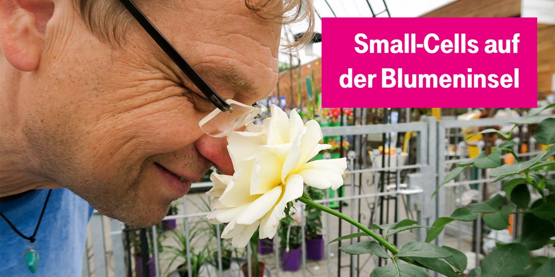 telekomnetz's tweet photo. Auch auf der #Blumeninsel @mainau gibt es Internet. Wie es dahin kommt, erklärt unser letztes Video der Tour https://t.co/XxnkZiavko #tnt17 https://t.co/QXo7l3p9hu