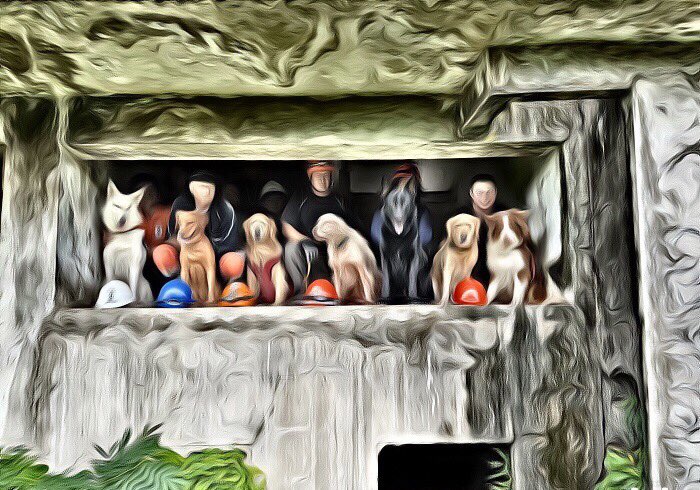 Abandoned Building Search logged in our K9SARLog apps for today's training 🐾🐾