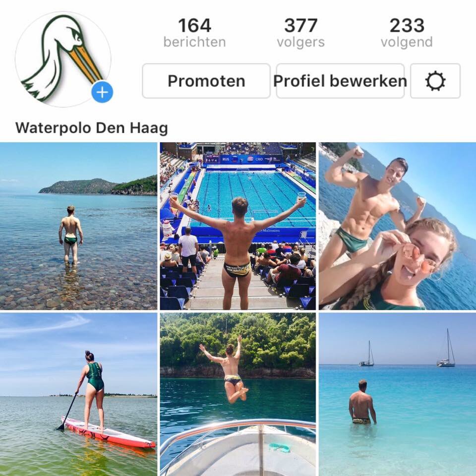 Waterpolo Den Haag tweet media