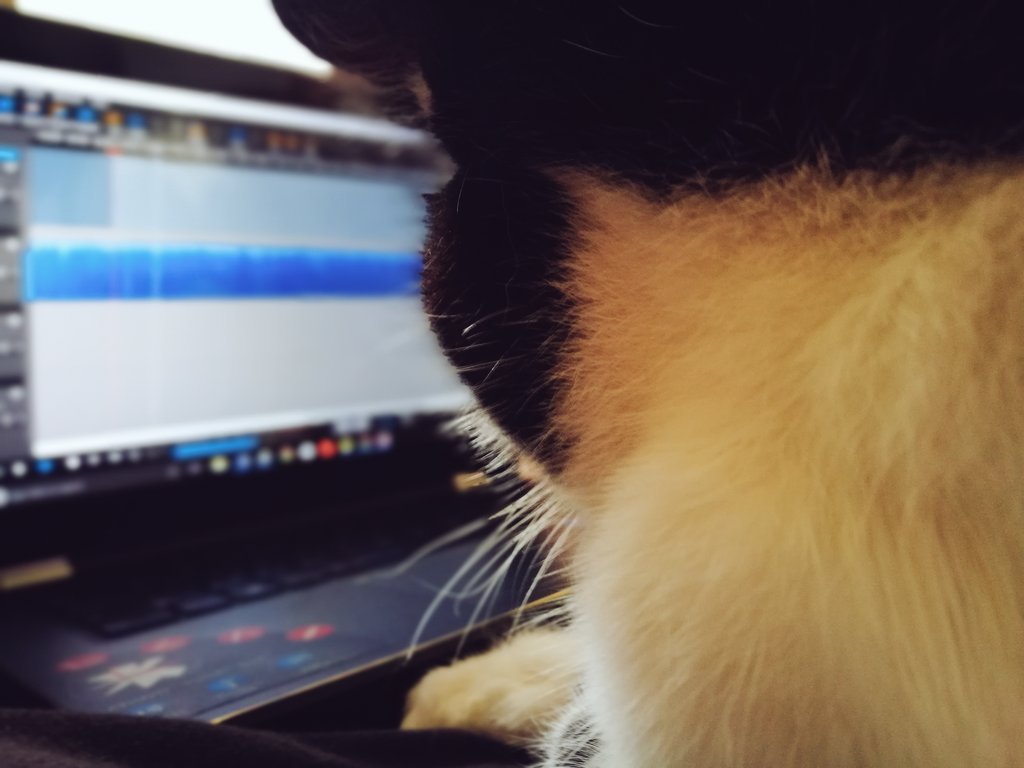 TVFlixSR's tweet photo. 💙 It's been a while! 💙 Sara's been fired as the editor for being so late with S2 E10, but our new editor assures us it's on it's way! 😻⭐ https://t.co/dmeyuQW6gg