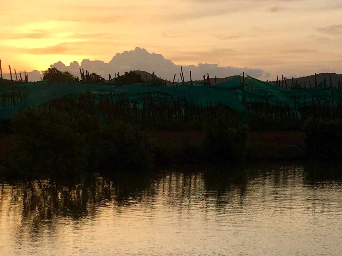 Mitni75's tweet photo. Wonderful sunset at Confirel's farm #KampotPepper #Cambodia #Organic https://t.co/QZw0pECkKY