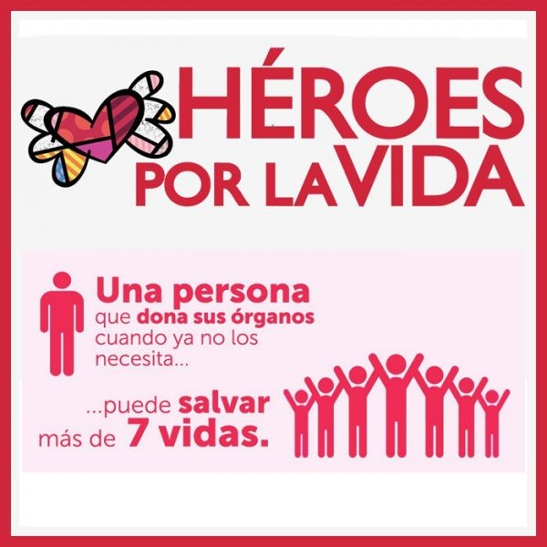 frepapy's tweet photo. #SabíasQue podes convertirte en un Héroe? Decí Sí a la Vida... Sí a la Donación de Órganos.
#FrepaPy https://t.co/IQDZQn3Jxr