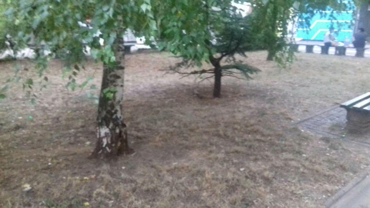 Cukpadina's tweet photo. @prijavi_problem Ovako je juce bilo. Sami smo ocistili cak i narkomanske igle. Zahvalite Zelenilu sto radimo njihov posao. Stanari. SRAMOTA https://t.co/TOS7oNqZ7C