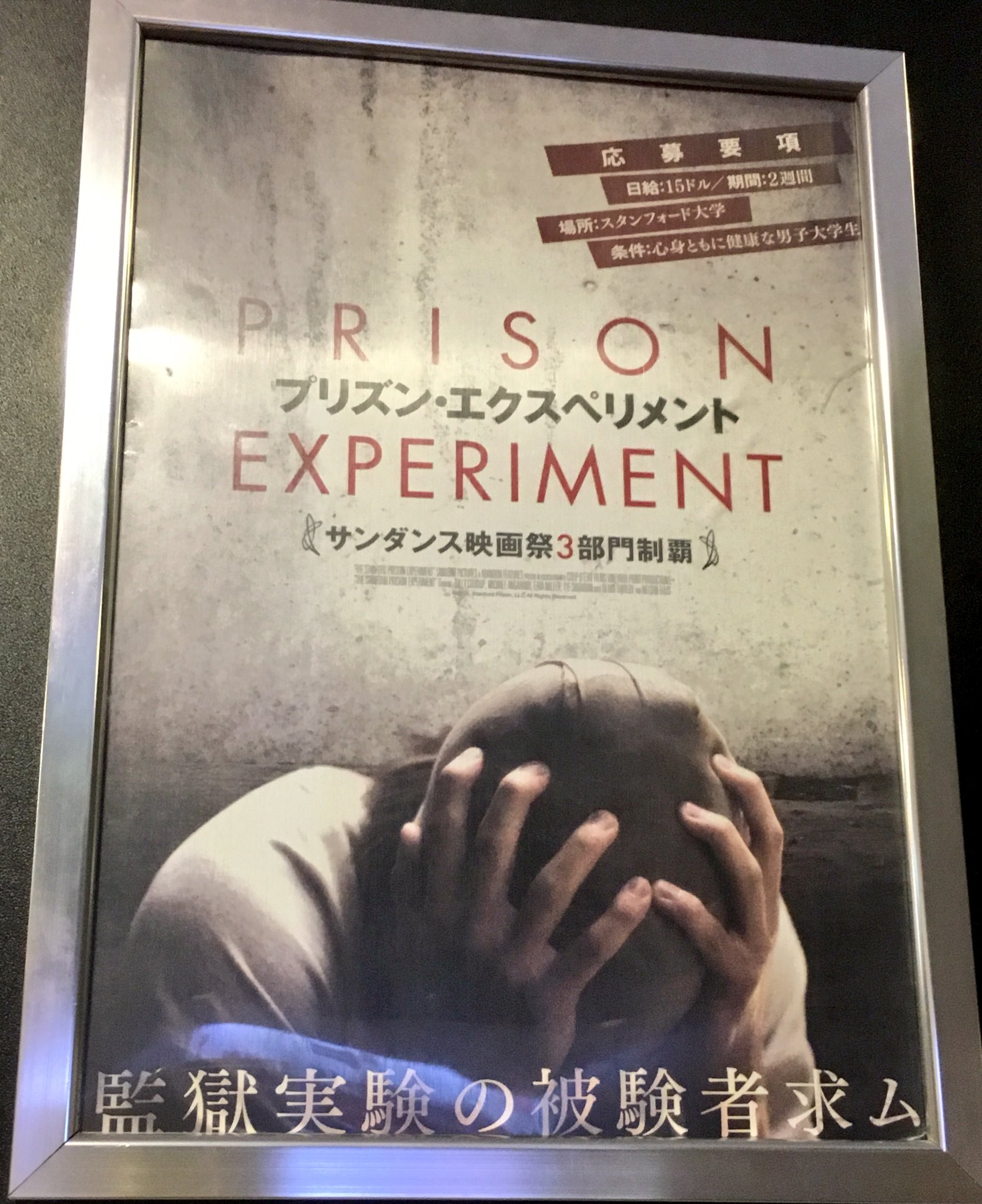 映画プリズン エクスペリメント公式 Pri Experiment Twitter