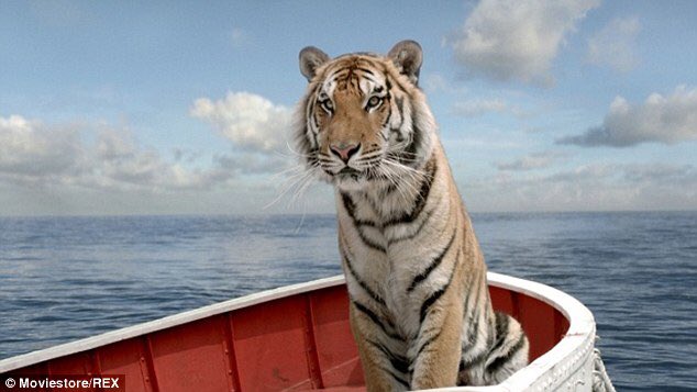 WSUFilm's tweet photo. #savethetiger #InternationalTigerDay #TigerDay It's estimated that there are less than 4000 tigers in the wild 🐯 https://t.co/puiSBCIdky