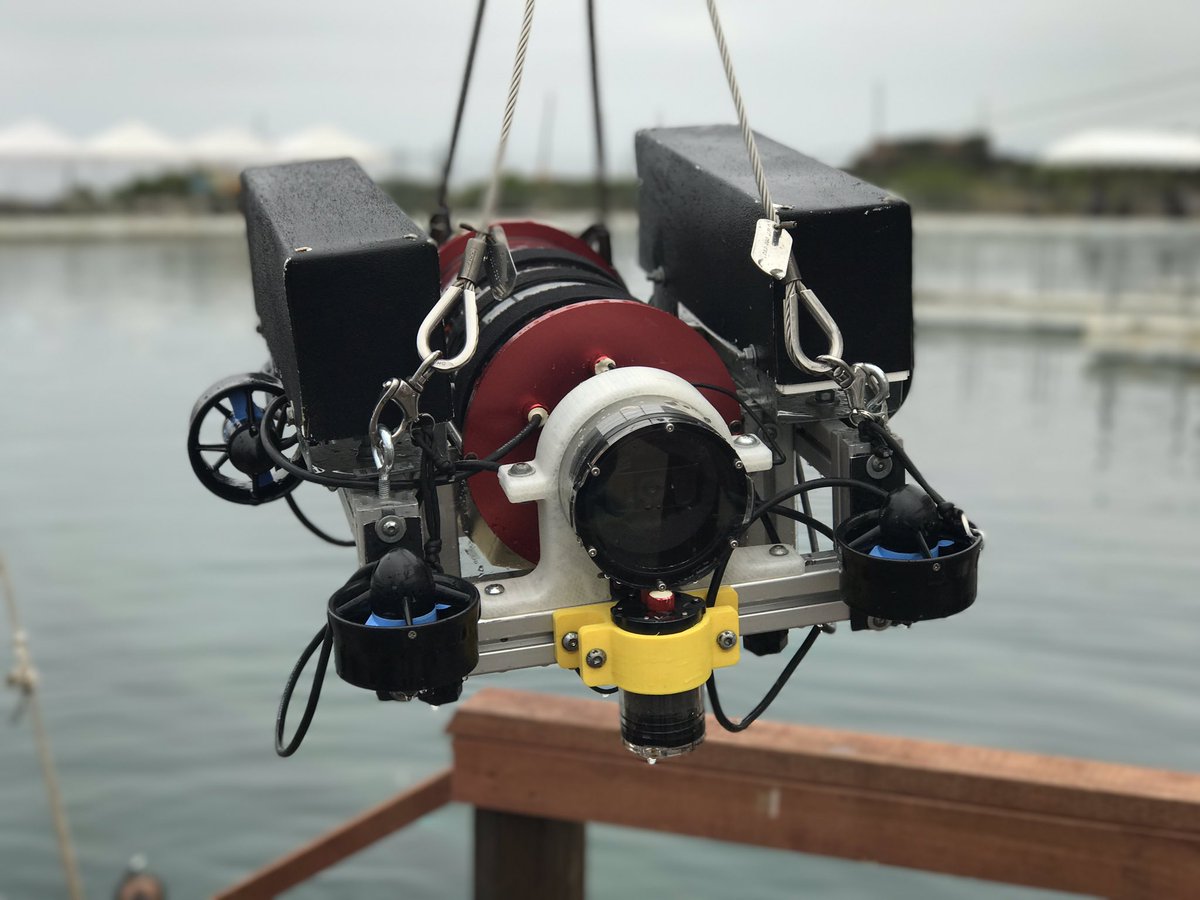 RUMarino_pr's tweet photo. Hi fans, our last run in is today at 9:30am (12:30 pm PR time), tune in to our facebook live at that time!
π΅π·this is for you!
#Robosub2017 https://t.co/zeD7LuBz6M