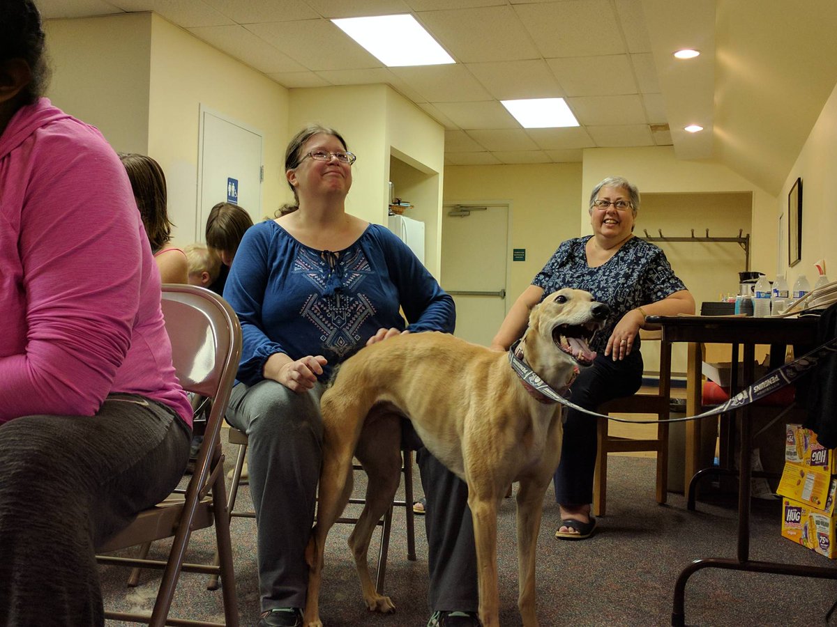 steelcitygreys's tweet photo. #Houndvol Ella is loving all of the attention from attendees of The Doggie Day session at The Dormont Public Library! #adoptdontshop https://t.co/pTLT1K6sVa