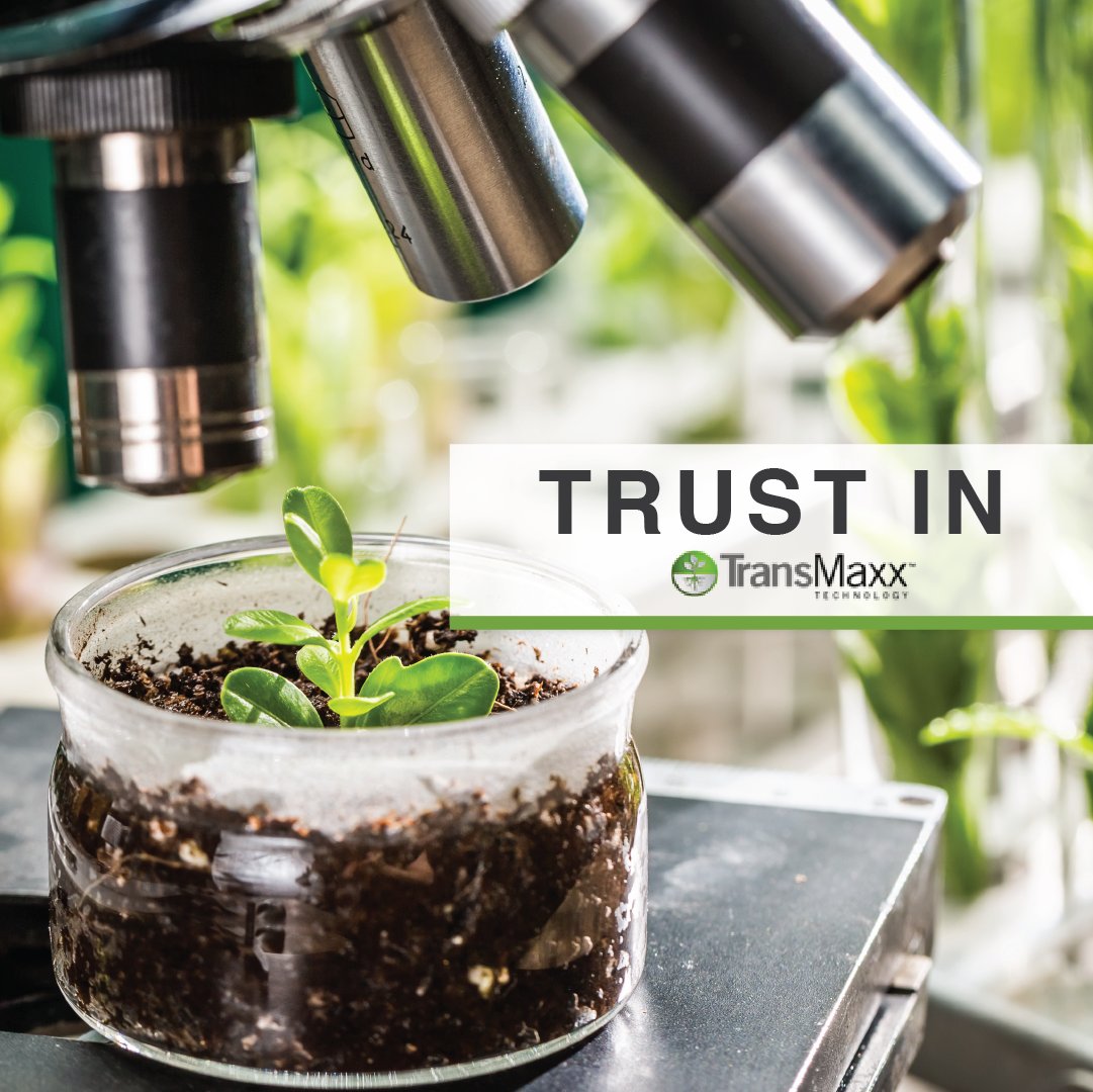 ConceptAgriTek's tweet photo. Products with #ConceptAg are developed using# TransMaxxTechnology for the most advanced plant care in the world.
https://t.co/jgXpMMzE3p https://t.co/JEaxJ41EZM