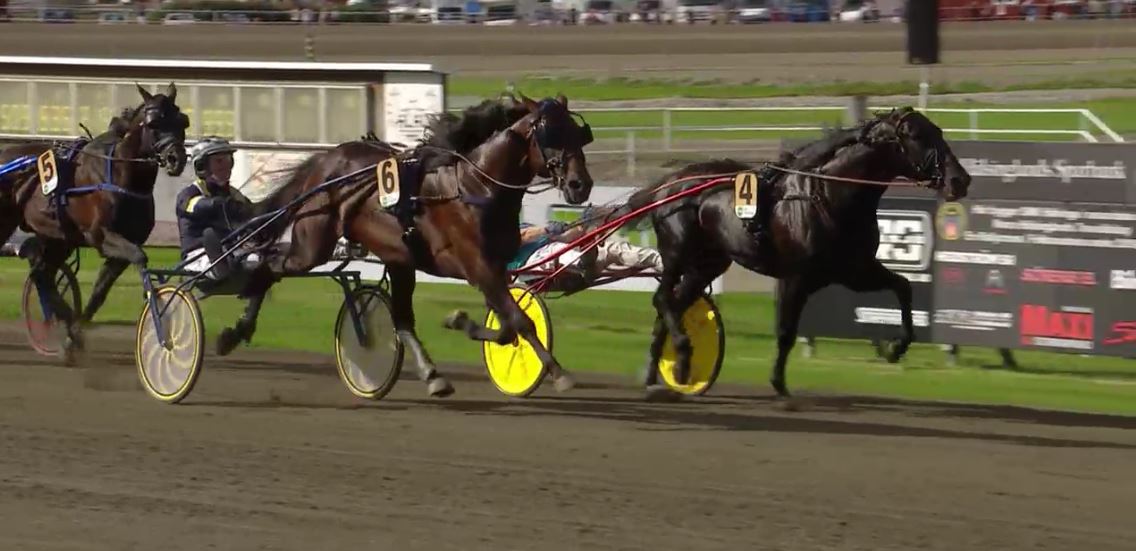 Joe_Zagari's tweet photo. #Volstead 🇺🇸🇸🇪 @stefan_melander won E.j:s Guldsko - Gulddivisionen in #Hagmyren with #JohnnyTakter 1.10 on 1640 over #MagicTonight https://t.co/5TlWxofHL8