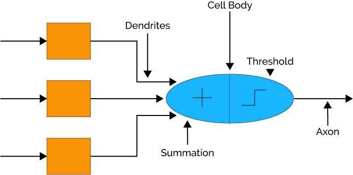 pdf autonome