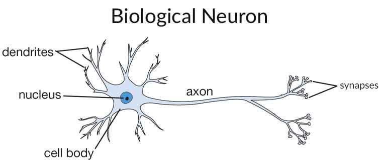 nexium canada