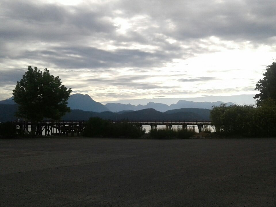 MistickFarm's tweet image. Good morning