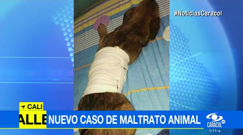 NoticiasCaracol tweet picture
