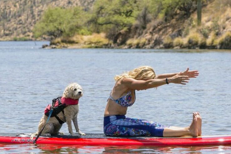 CPilatesGilbert's tweet photo. From our paddleboarding pilates class.So fun, even the dog wants do it! #pilatesitsforeveryone #pilatesandpaddleboarding #clubpilatesgilbert https://t.co/C4Qn0pChEv