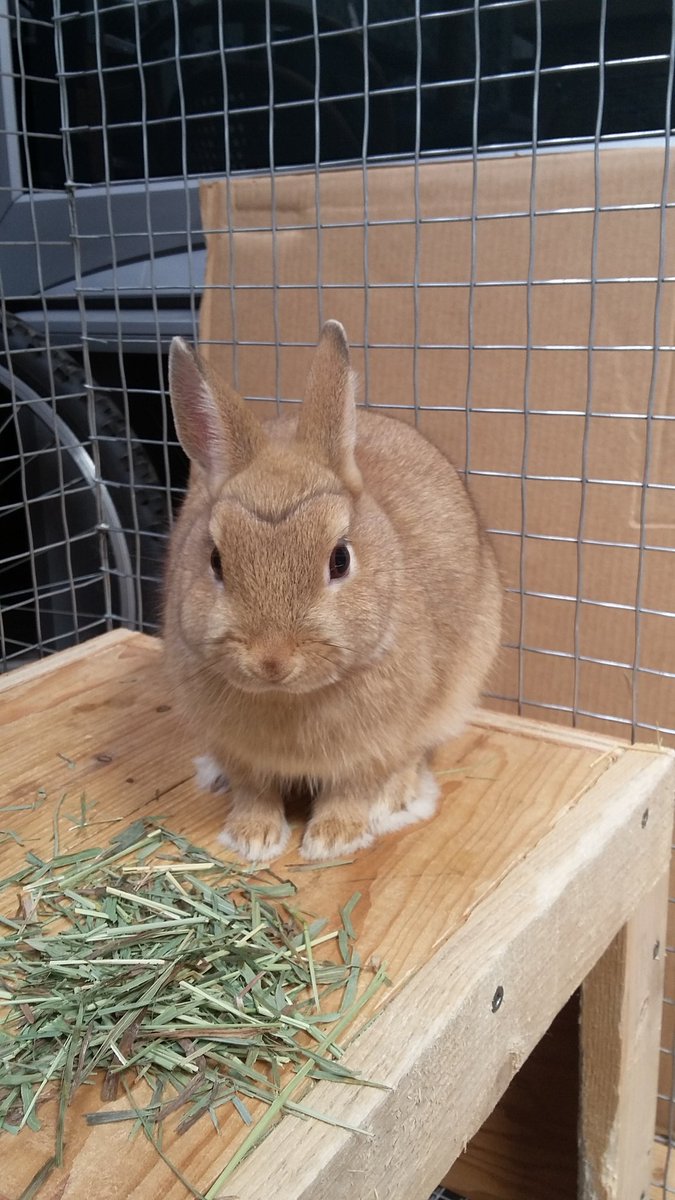 Brow game is strong, he looks angry all the time lol