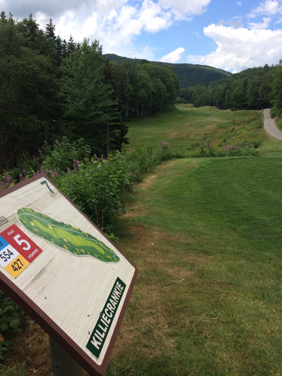 BriLong75's tweet photo. Oh how I love the!!! #Highland-links. https://t.co/IIlCjBO8aW