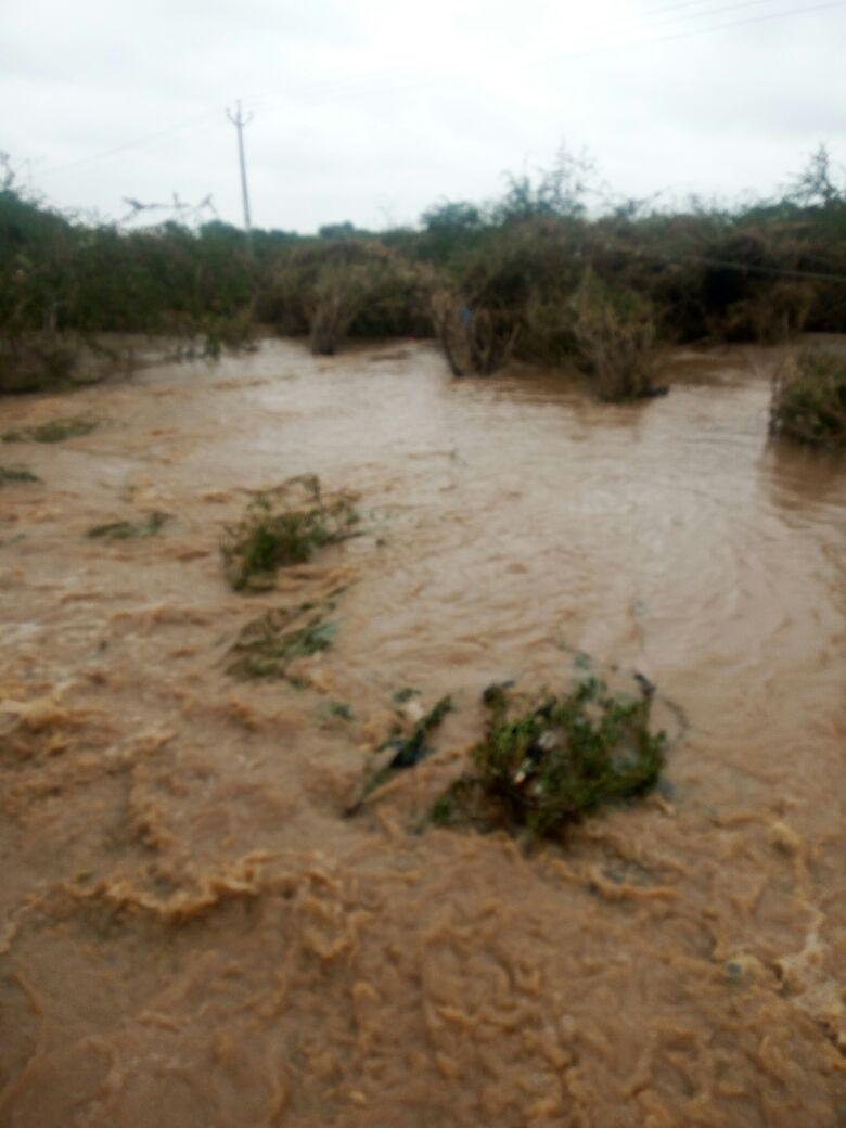 SetansinghR's tweet image. कहो गए हमारा M L A