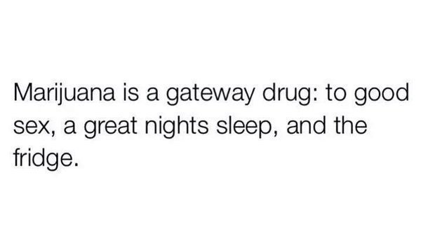 LegalizeGreenMJ's tweet photo. https://t.co/ebTvlJ6Ep7
