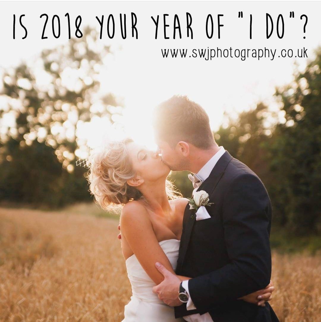 Petvault tweet media