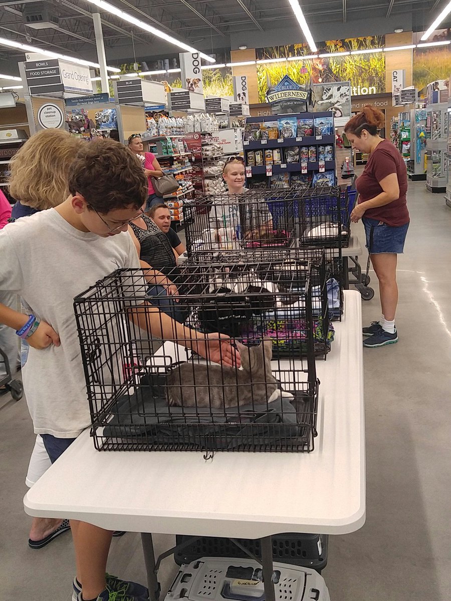 Petsmart #2700 tweet media
