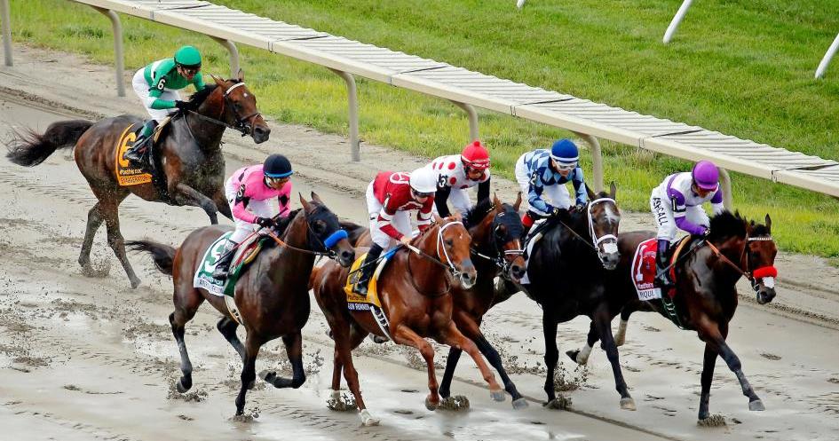 Haskell Invitational Stakes Cheat Sheet #BCSweepstakes #WinAndYoureIN - sot.ag/6wSVz