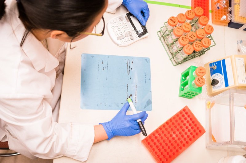 cb_beautynews's tweet photo. The 10 female scientists being backed by @shiseidoworld https://t.co/ovM7llt0bH #womeninscience #beauty #science https://t.co/moa0DEtCiU