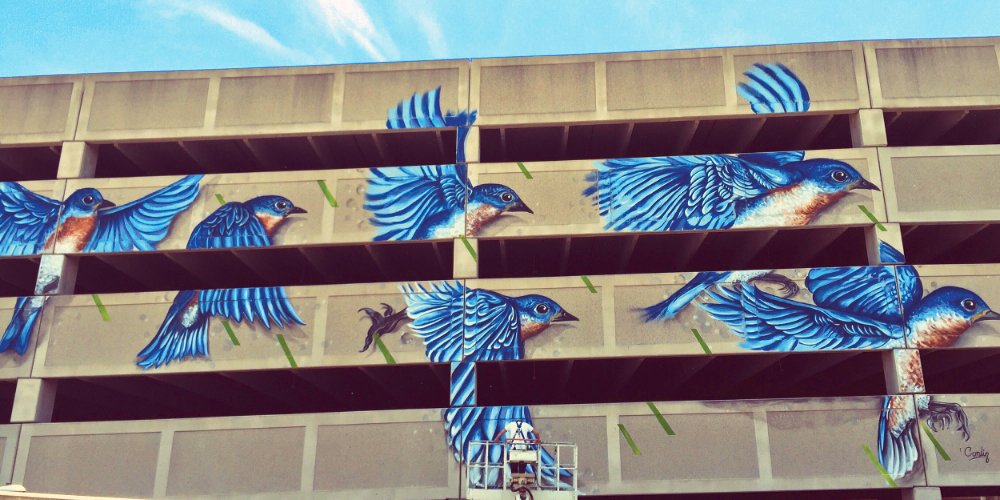 ualbany's tweet photo. Who painted those bluebirds in downtown Albany? Alum Michael Conlin '04, who credits #UAlbany for his start in art: https://t.co/rZhns4zNZq https://t.co/zcF4MzNixI