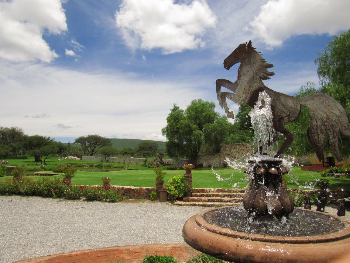 Abriendo puertas para recibirl@s. La Vid en su mayor esplendor. L@s esperamos en #VińedosAzteca.