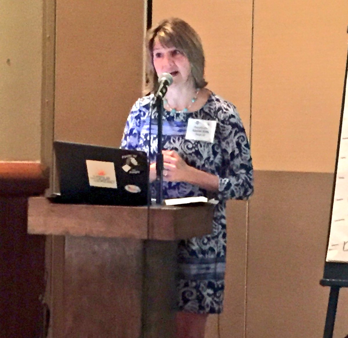 joannaklonsky's tweet image. The very badass @LaurenKuby on lessons from the fight for earned sick time, equal pay, free pre-k in Tempe, AZ. #LocalProgress17