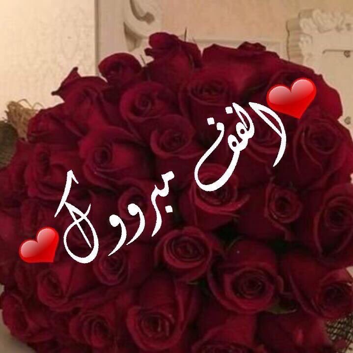 V_i_p__0's tweet photo. @tif__12 
الف مبروووووووك #طيف لك هذا التميز ونشكرك ع نشااطك وتفاعلك بالقروب https://t.co/f1SWGP7Z7e