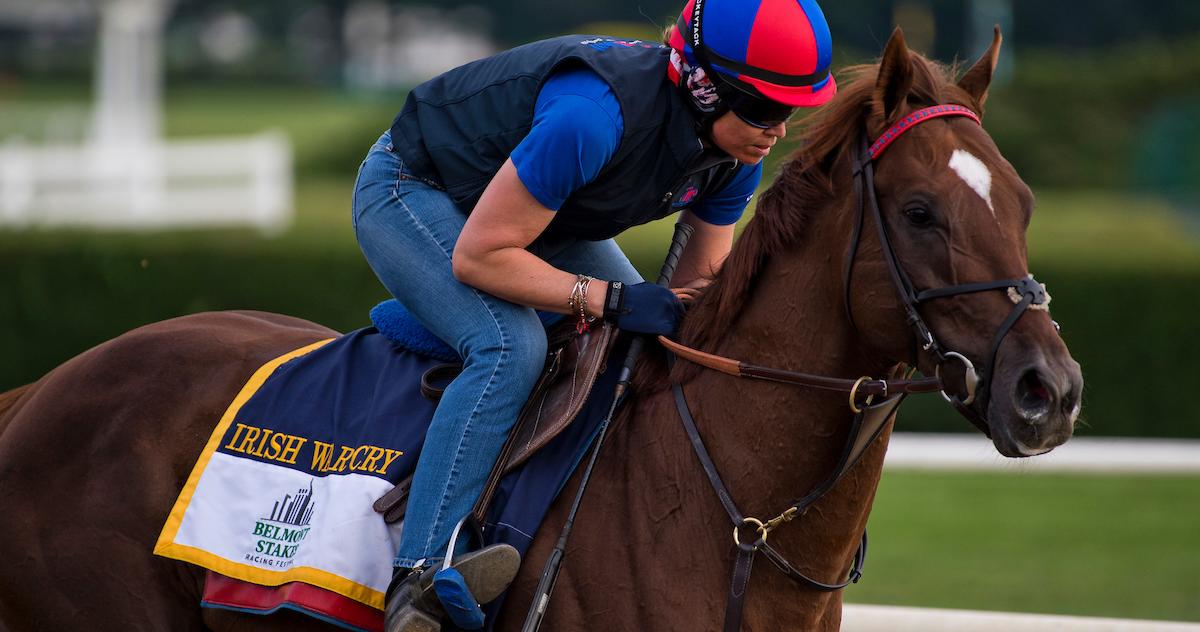 Irish War Cry Morning-Line Pick in Wide Open Haskell #BCSweepstakes #WinAndYoureIN - sot.ag/6wPKc