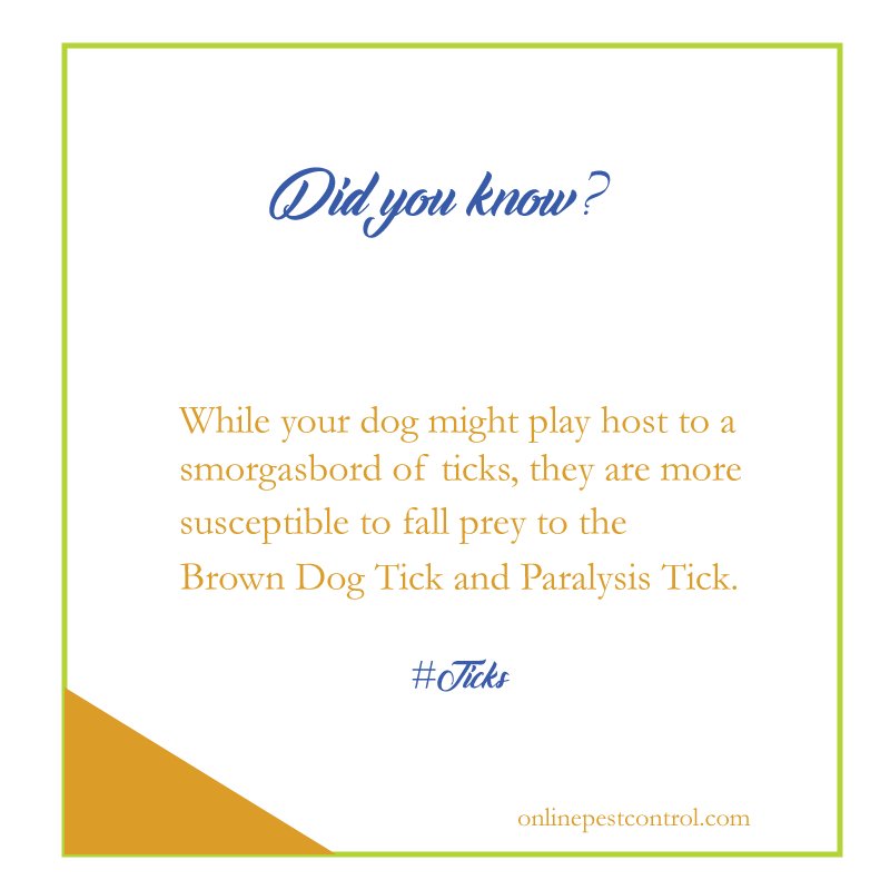OnPestControl's tweet image. Did you know? bit.ly/2uCvWkMTwit #Ticks #dogs #dogsoftwitter