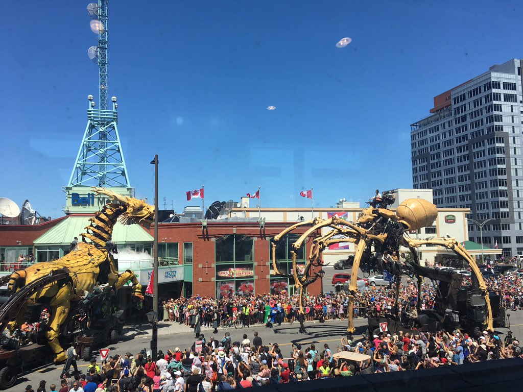 Loukia Zigoumis tweet media