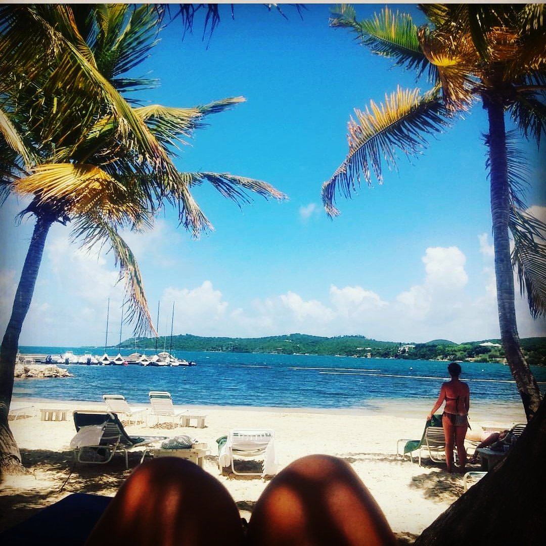 nonsuchbay's tweet photo. Under the trees, naps and beach views #vacationchecklist #Nonsuchbayresort #Antigua #saturdaymorning #holiday #travel https://t.co/eSSr6hd7YD
