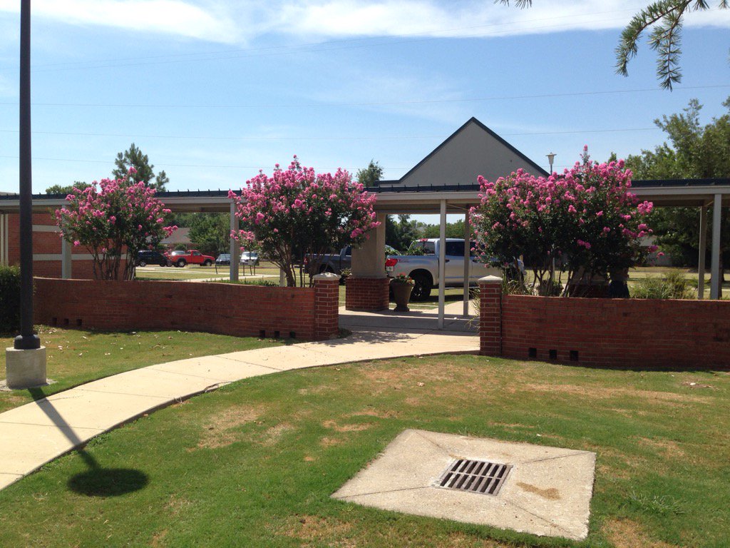 Neal_JohnsonISD's tweet photo. Beautiful front of Greystone! https://t.co/dboWhhwKXQ