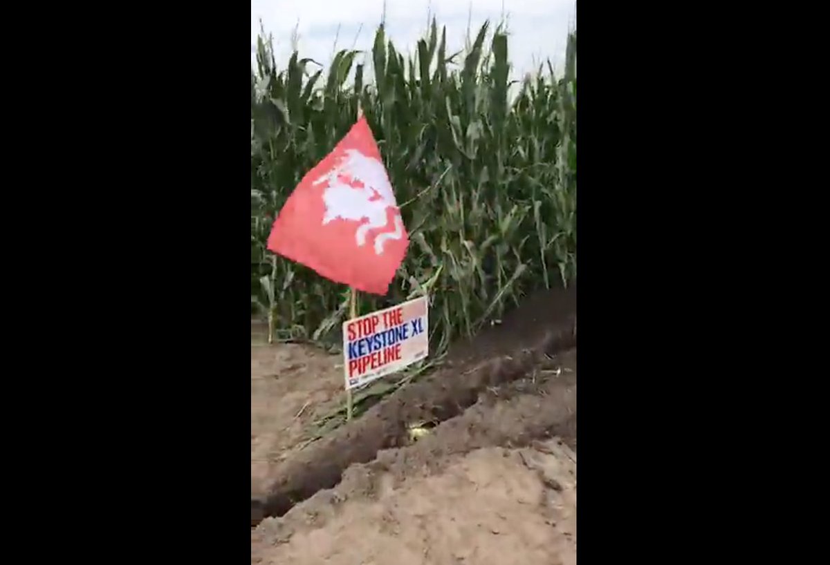 BoldNebraska's tweet photo. VIDEO #SolarXL: Installing USA-made #solar in the path of #KeystoneXL: https://t.co/3DiusLWuY7 #NoKXL DONATE: https://t.co/Zjg7Sjuj3I https://t.co/hg3ilTe8wZ