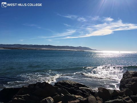 LemooreCollege's tweet image. We love that we're within driving distance to the beach! What do you love about West Hills?