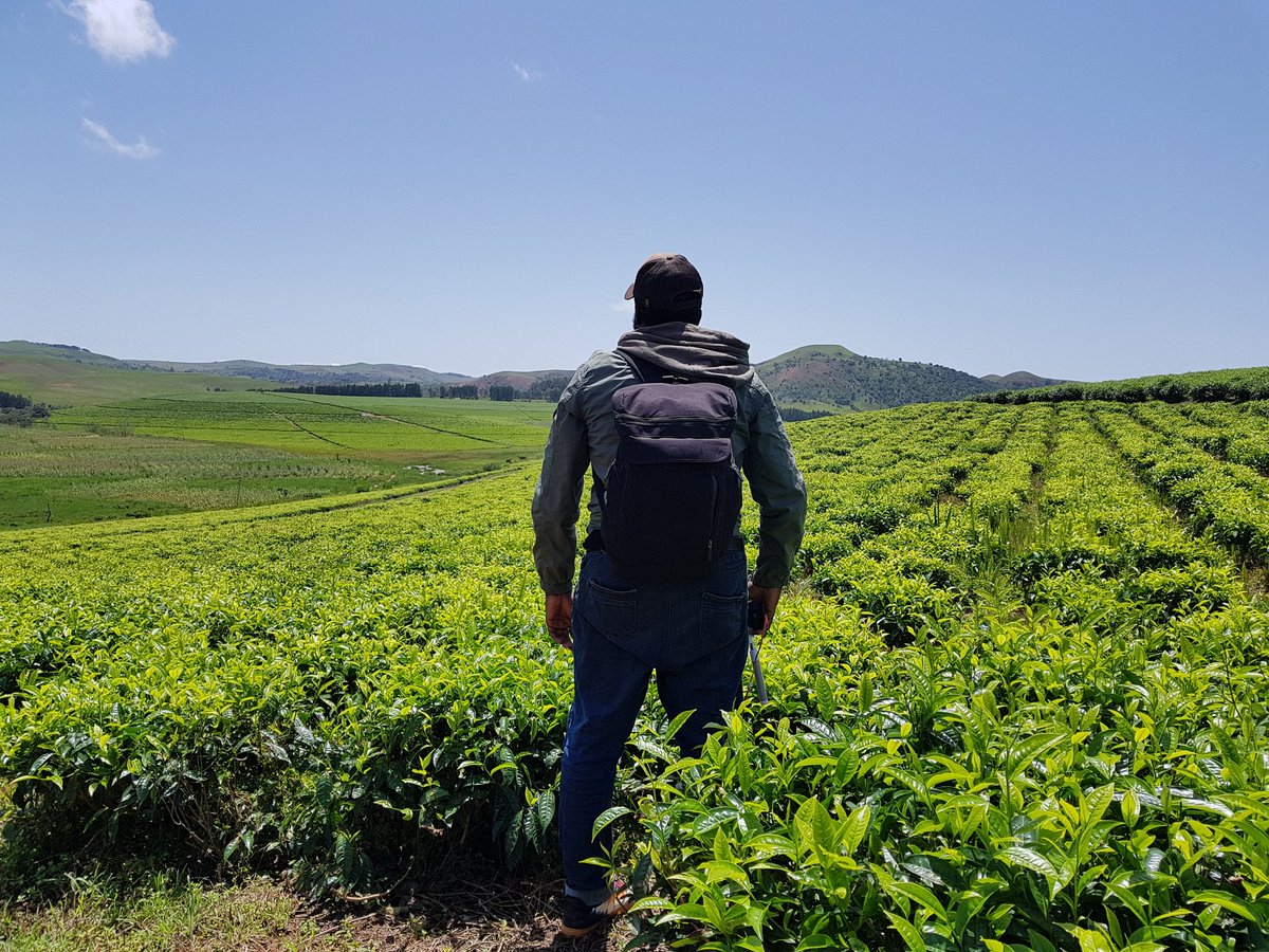 FuadXIV's tweet photo. @PulseNigeria247 Just chilling on a tea plantation, South of France. Haters will say it is Gembu, Taraba State. #Pulse6 #MoveWithAccessBank #SamsungS8PlusNG https://t.co/diWA4kMNCd