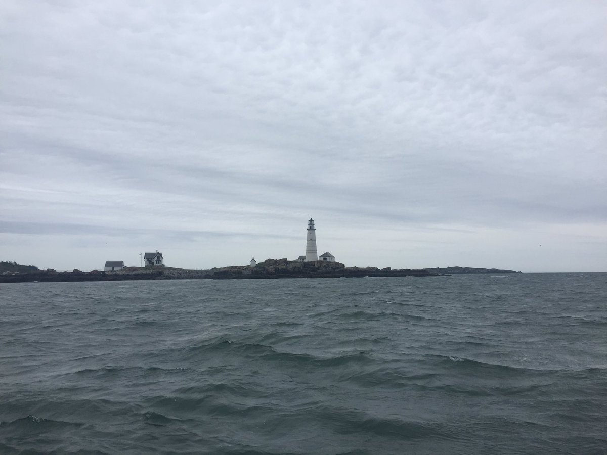 Amy BLS 2017 tweet media