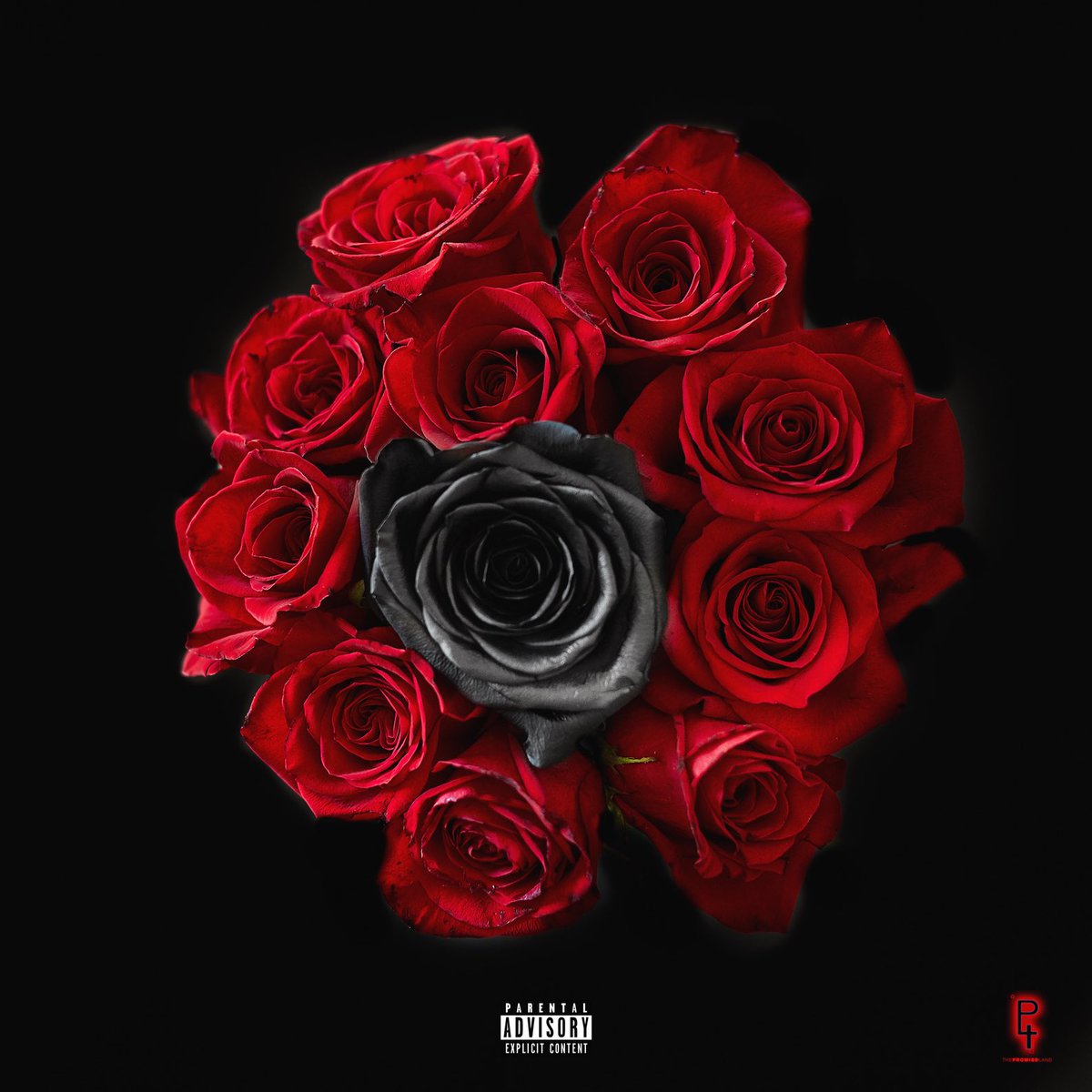 Twonoutspoken's tweet photo. BLACK ROSE COMIN SOON.
https://t.co/VNl6NbEgNc https://t.co/qCnapd3mvv