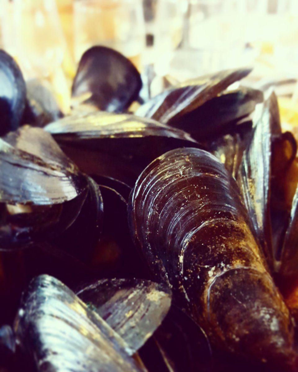 bimboinspalla's tweet photo. Cozze alla marinara + #Vermentino + #Shopping notturno = #sabato sera perfetto! #vitadamamma #mammemoderne #Sardegna #Food https://t.co/U20LKxLUYs