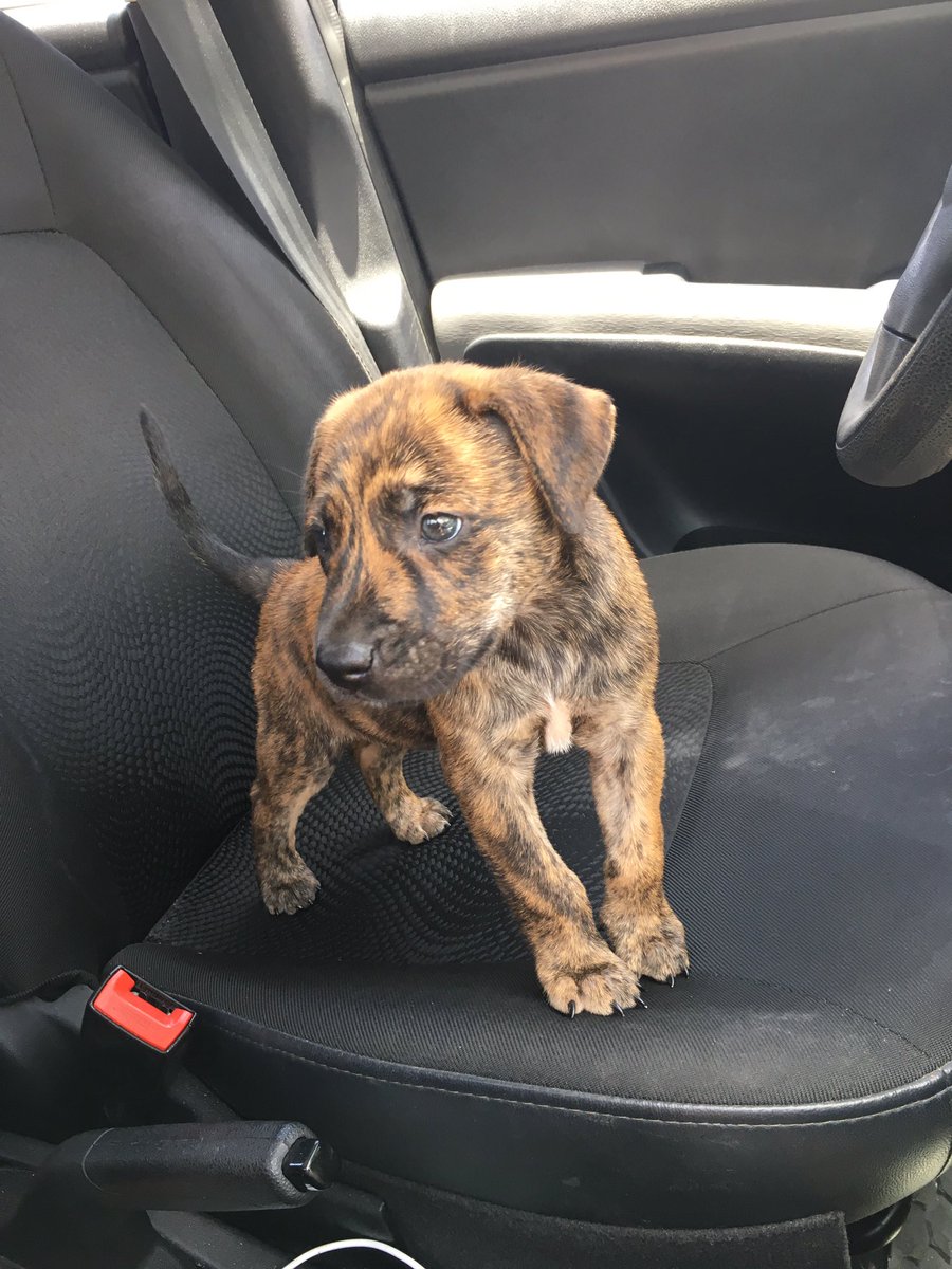 Welcome home Max ❤️