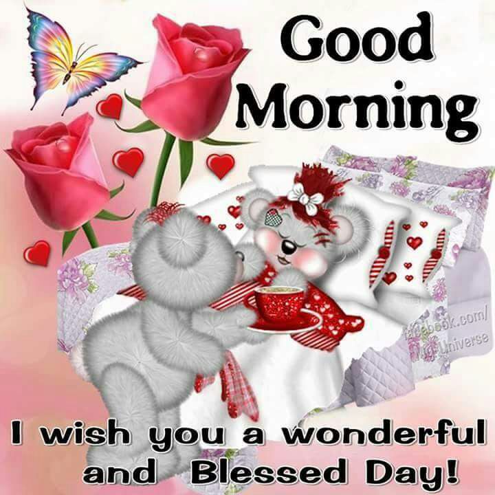 babelyn_g's tweet photo. Blessed Sunday everyone. @MercuryTwin @SK8sandhu @tdwtug @tdwtug @07butterflies1 @srinualme @raisingthebar31 @Rksandhu88 @yfchanmd @Chadsit https://t.co/x2TgmBdaVi