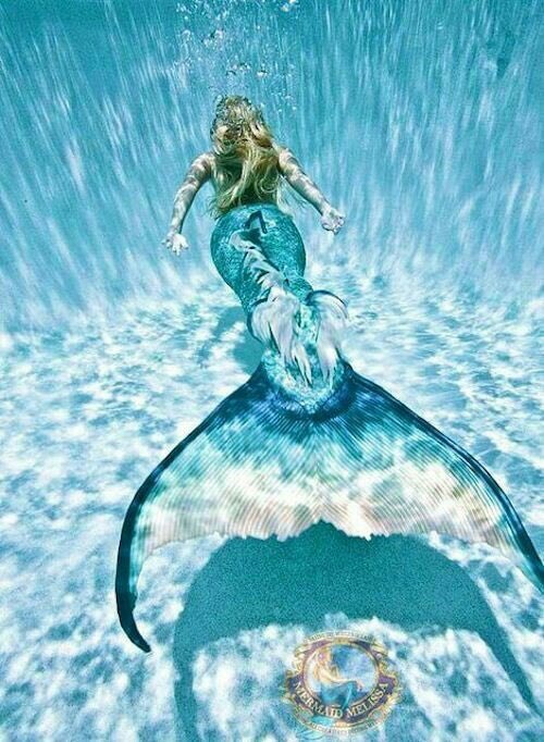 MaribellaAngels's tweet photo. @vilaandrealili1 @_71117_ @vilaandrea24 @fulla_studio @M71117M61116 @Wulf2015GER @AdryMMP @DOXAgr #MUNEE #INFINITY
#Fabiola_71117_TEAM 
@_71117_ @vilaandrea24
@fulla_studio @M71117M61116 
@MaribellaAngels @Wulf2015GER 
@AdryMMP @DOXAgr https://t.co/N4MTBwZ5SF